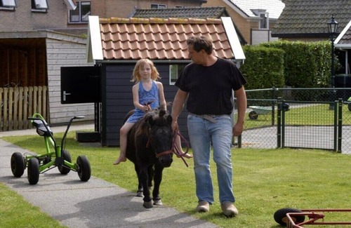 Nes House | Holiday home in Nes with swimming pool