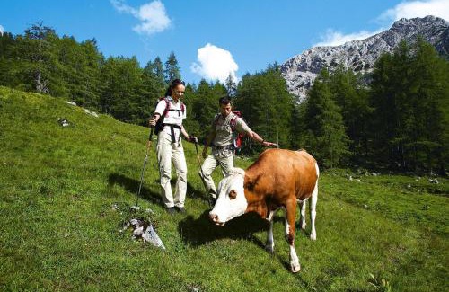 Sankt Koloman House | Holiday Home in St Koloman near Salzburg