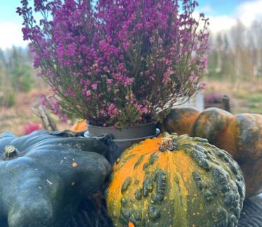 Norrkoping O House | Holiday home Kolmårdsgården