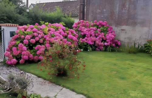 Saint-Blimont House | Holiday Home 'Maison À Saint-Blimont' with Terrace