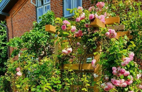 Bosau Apartment | Holiday home Old Kate