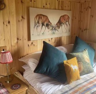 Balnain House | Holiday Home Shepherds Hut by Interhome