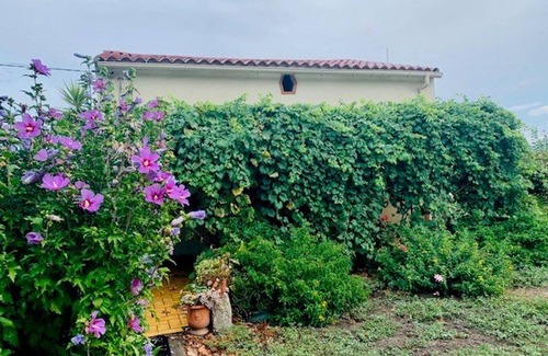 Ceret House | Holiday Home with Garden in the Heart of Céret