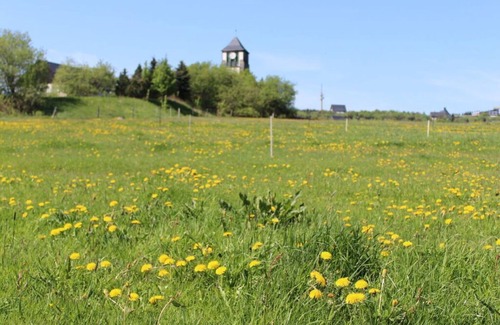 Zinnwald-Georgenfeld House | Holiday home Zinnwald large