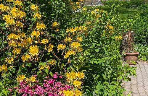 Bad Elster House | Holiday house Bad Elster for 1 - 4 persons with 1 bedroom - Holiday home