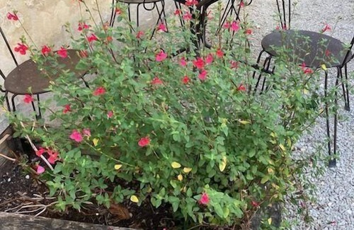 Sainte-Mondane House | Holiday house Carlux for 1 - 2 persons - Row house