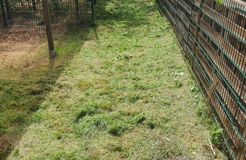 Cottbus House | Holiday house Cottbus for 1 - 5 persons with 4 bedrooms - Holiday house