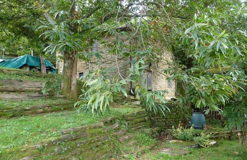 San Carlo Terme House | Holiday house Massa for 1 - 6 persons with 2 bedrooms - Holiday home