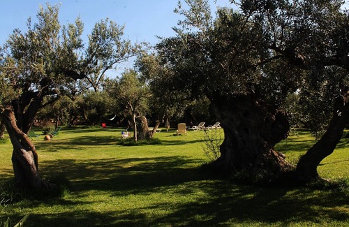 Sciacca House | HOLIDAY HOUSE OLIVE SCIACCA