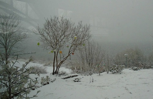 Plau am See House | Holiday house only 20 m to Plauer See - holiday home in a fantastic location directly on Lake Plau - 20 m