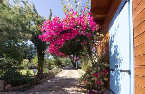 Gonnesa Cottage | Holiday house with garden and swimming pool