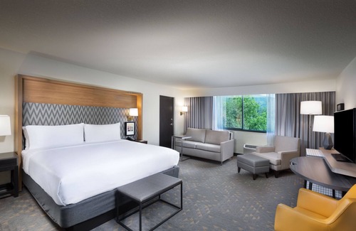 Asheville Hotel | Holiday Inn Asheville East-Blue Ridge PKWY by IHG