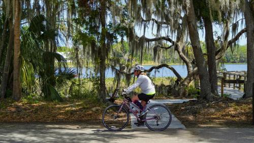 Crystal River Hotel | Holiday Inn Express Crystal River by IHG