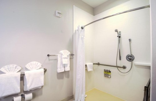 Bearss Plaza Hotel | Holiday Inn Express Hotel & Suites Tampa-USF-Busch Gardens by IHG