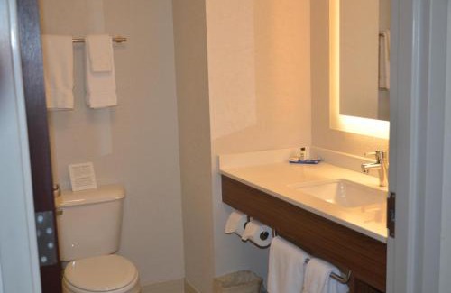 Rochester Hotel | Holiday Inn Express Hotel & Suites Rochester by IHG