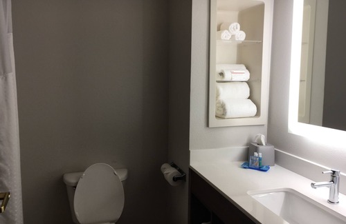 Thomasville Hotel | Holiday Inn Express & Suites Thomasville by IHG