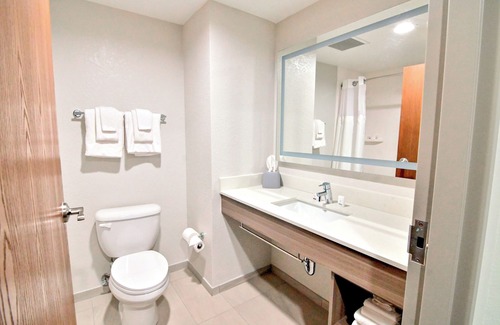 Palm Coast Hotel | Holiday Inn Express & Suites Palm Coast I95 by IHG