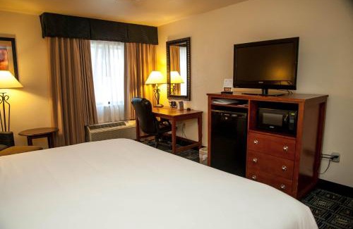 Tucson Hotel | Holiday Inn Express Tucson-Airport by IHG