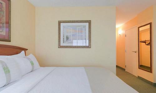 Clearwater Beach Resort | Holiday Inn & Suites Clearwater Beach by IHG