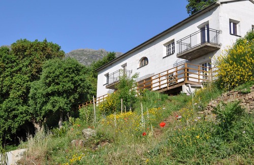 Pietracorbara House | Holiday Rentals Cap Corse 2 to 6 people forest view.