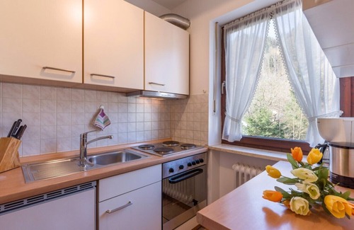 Oberaudorf Apartment | Holiday Resort Oberaudorf 2-room apartment C5