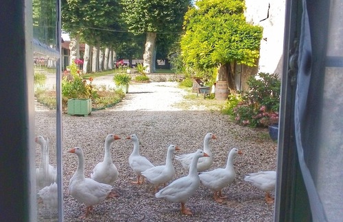 Preignac Apartment | Holiday with castle feeling