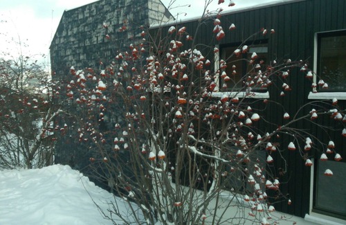 Pra Loup Apartment | Holidays close to the slopes. Pra-Loup 1600