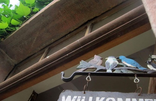 Albe Apartment | Holidays in Alsace, in the heart of the Vosges