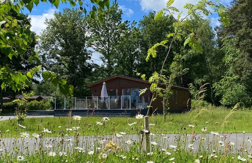 Acomb Apartment | Hollicarrs - Honeycomb Lodge