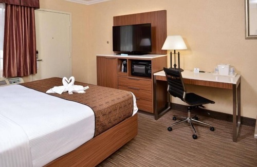 Hollywood Hotel | Hollywood Stay Perfect for Couples Seeking Local Attractions & Fun
