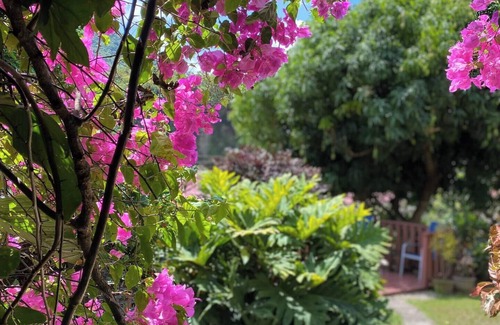 Soufriere Quarter Apartment | Home Away From Home in Soufriere. Stay With a Warm, Welcoming Local Family!