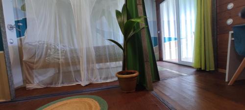 Sainte-Rose House | HOME CONTAINER RESORT Eau