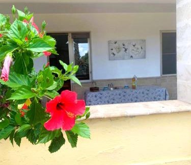 Fontanelle Apartment | Home Fontanelle