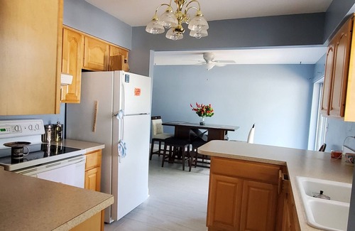 University House | Home next to USF, VA Hospital, Busch Gardens, Moffitt, Advent Health & more.