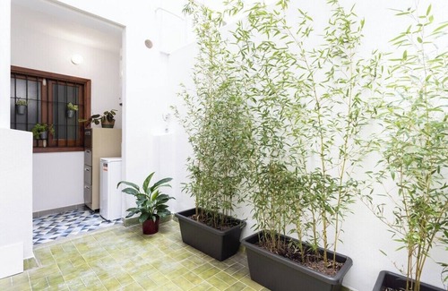 Santa Cruz de Tenerife Apartment | Home2Book Charming Center Apt Santa Cruz