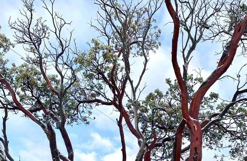 Anza House | Homeinn - Great View / Rusted Camper/RV