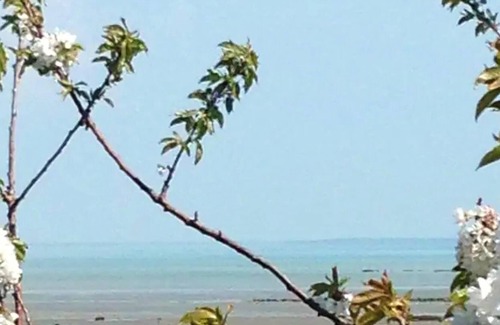 Le Vivier-sur-Mer House | Homerez - Amazing house for 6 ppl. at Le Vivier-sur-Mer