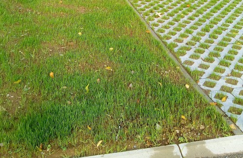 Stavelot House | Homerez - Amazing house for 14 ppl. with terrace at Stavelot