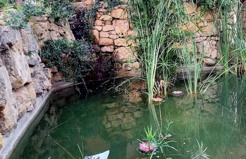 Salon-de-Provence Apartment | Homerez - Apartment - Salon-de-Provence