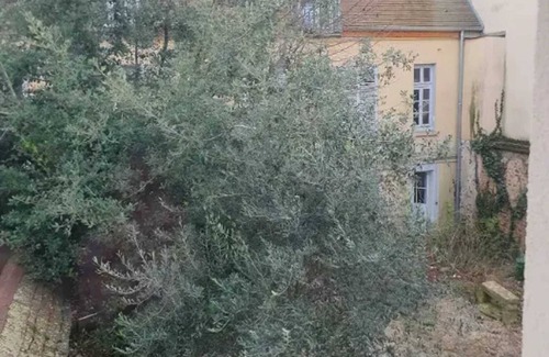 Limeil-Brevannes Apartment | Homerez - Apartment in Limeil-Brévannes