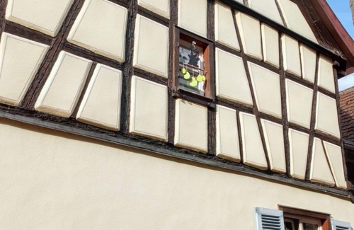 Eguisheim Apartment | Homerez - Apt fireplace Eguisheim