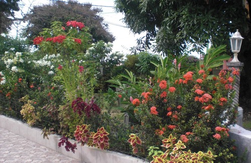 Port-Louis Apartment | Homerez - Apt in Port-Louis with garden