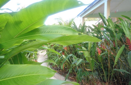 Port-Louis Apartment | Homerez - Apt in Port-Louis with garden