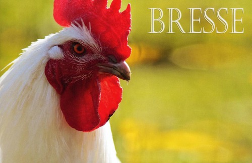 Vonnas House | Homerez - Beautiful house for 4 ppl. with terrace at Vonnas