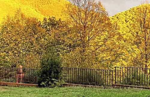 Gattaia House | Homerez - Charming House in Gattaia
