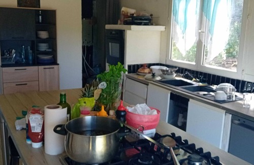 Puget-sur-Argens House | Homerez - Eco-friendly bungalow in Puget-sur-Argens