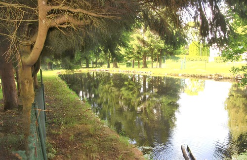 Ban-sur-Meurthe-Clefcy Ski Chalet | Homerez - Chalet in Ban-sur-Meurthe-Clefcy