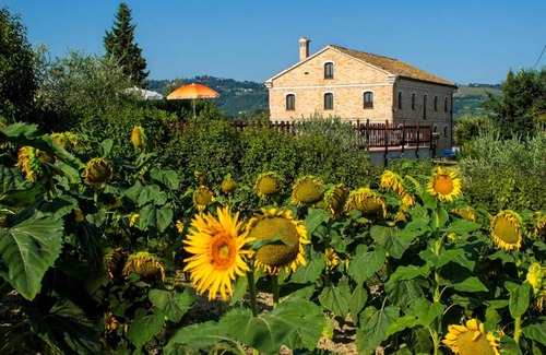 Montecarotto House | Homerez - House in Montecarotto