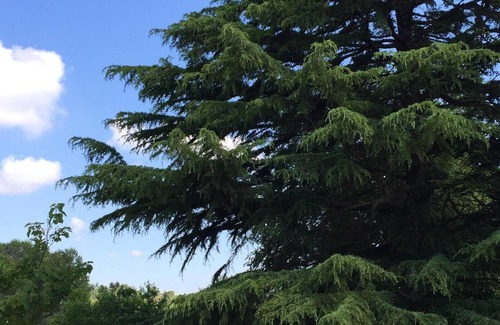 Laureto Villa | Homerez - Large villa 12 km from the beach for 18 people. with swimming pool and jacuzzi