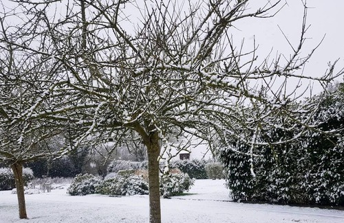 Bonneville-la-Louvet Apartment | Homerez - Nice appartement for 3 ppl. at Bonneville-la-Louvet